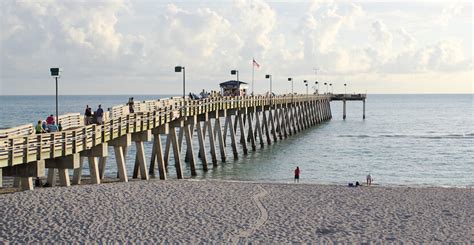 Venice Florida Pier Fishing Report - Unique Fish Photo