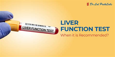 Liver Function Tests: Purpose, Procedure, and Results - Dr Lal PathLabs ...