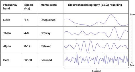 Measuring Brain Waves in the Classroom · Frontiers for Young Minds