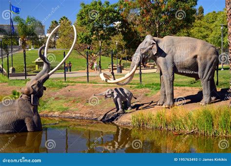 A Scene Depicts A Mammoth Getting Stuck In The La Brea Tar Pits ...