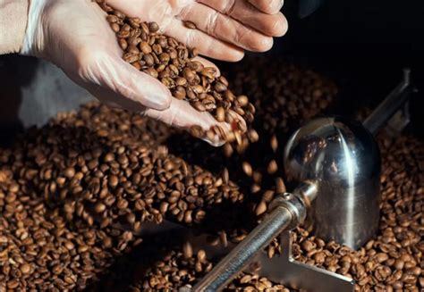 How Are Flavored Coffee Beans Made - 2024 Guide - Just F