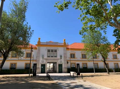 Vista Alegre Museum & Aveiro, Portugal – Travel-Gourmand.com