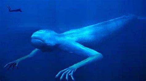 5 Mysterious Deep Sea Creatures Caught On Camera - YouTube