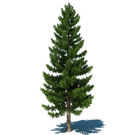 3dsmax pine tree