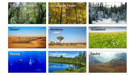 Newsela | What makes a biome?