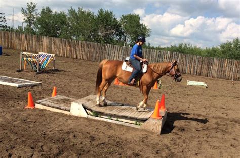 The Bridge Obstacle - Trail Horse Challenge