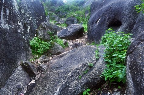 Rocky Terrain Free Stock Photo - Public Domain Pictures