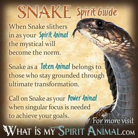 Snake Symbolism & Meaning | Spirit, Totem & Power Animal in 2020 ...