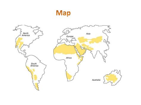 PPT - BIOME DESERT PowerPoint Presentation, free download - ID:2084511