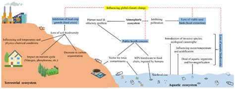 Effects Of Plastic Pollution