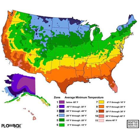 Hardiness Zones and Succulents | Sublime Succulents