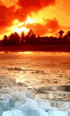 Sunset beach GIF - Download & Share on PHONEKY