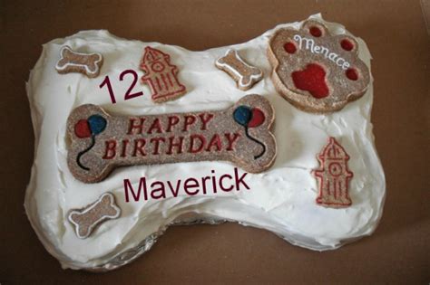 Life From A Cat's Perspective: Happy 12th Birthday Maverick and many ...