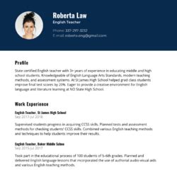 Assistant District Attorney Resume Example & Writing Guide — CVBLADE