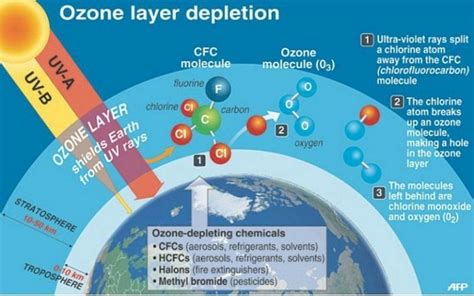 Ozone Layer Depletion - Causes, Effects and Solutions