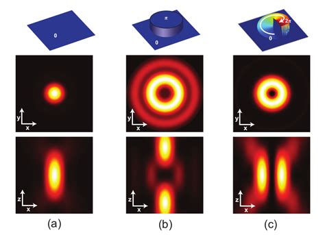 STED Microscopy | Scientific Volume Imaging