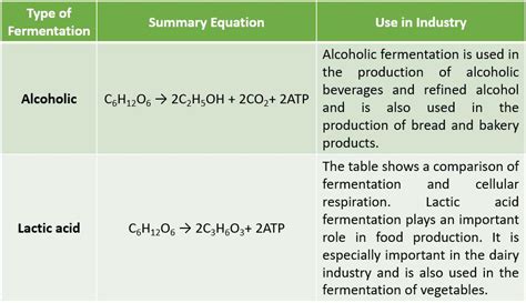 Alcoholic Fermentation