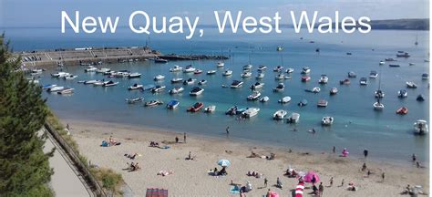 New Quay, West Wales - Holiday Cottages, Caravans, Wildlife, and much more.