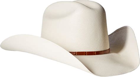 Stetson "Maximo" 100X Straw Western Hat SSMXMOM69408 at Amazon Men’s ...