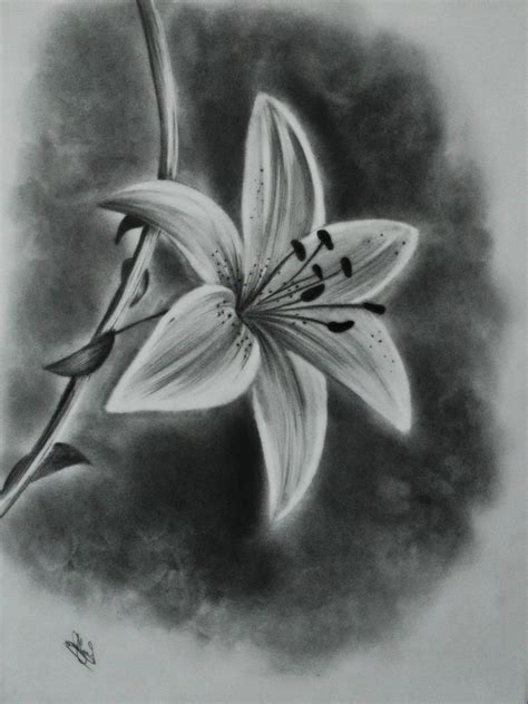 Pencil Sketches Of Flowers at PaintingValley.com | Explore collection ...