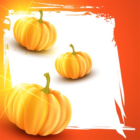 vector pumpkin 221437 Vector Art at Vecteezy