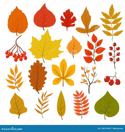 Golden and Red Autumn Leaves, Brunches and Berries. Fall Leaf Vector ...