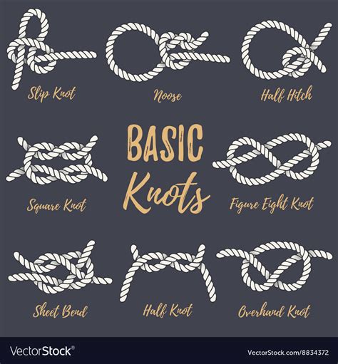 Set of nautical rope knots Royalty Free Vector Image