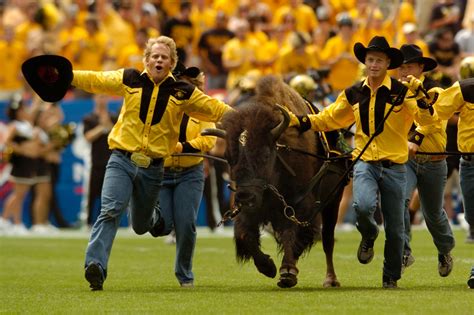 Ralphie IV, retired Colorado Buffaloes mascot, dies at 19 – The Denver Post