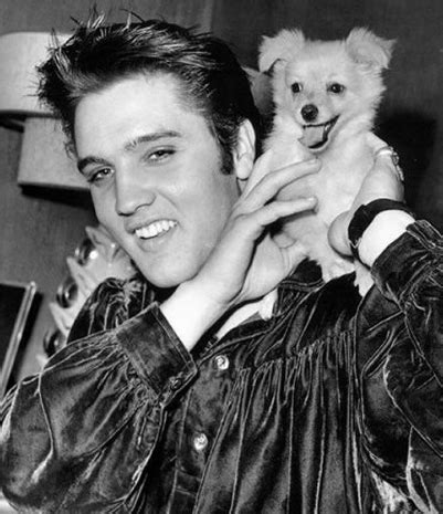 Elvis Presley With Animals 15 Photos – Elvis Presley