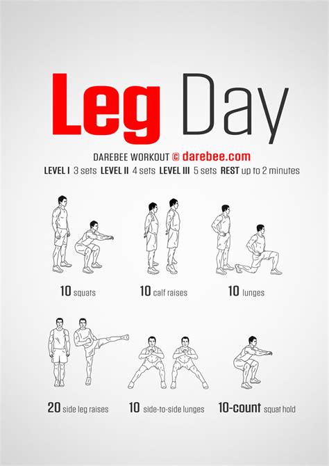 Best Compact Elliptical Blog: Leg Day Workout No Equipment