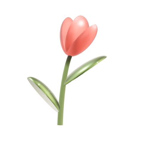 Tulipán Rosa 3d PNG , Tulipán, 3d, Flor 3d PNG y PSD para Descargar ...