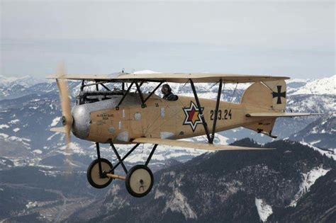 Albatros D III Oefag - Nachbau Mayerhofer | Ww1 aircraft, Vintage ...