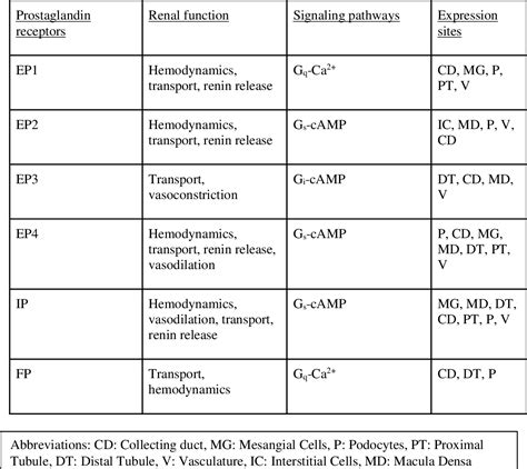 Figure 4 from Prostaglandins and Kidney Function: A Comparison Between ...