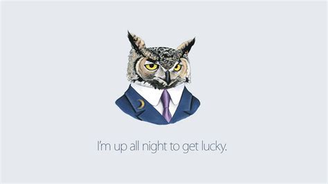 [200+] Owl Wallpapers | Wallpapers.com