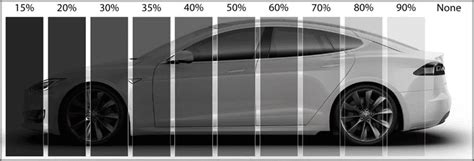 Window Tint Percentages Examples | Free Visual Tool