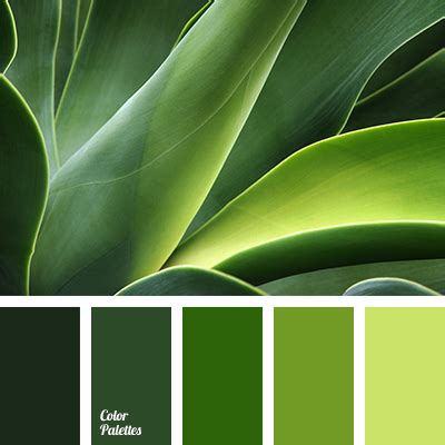 rich green | Color Palette Ideas