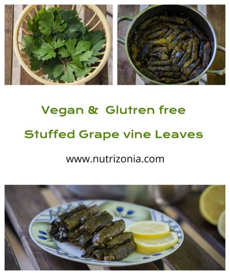 Vegan Stuffed Grape Leaves (Yalanjee) - :: Nutrizonia