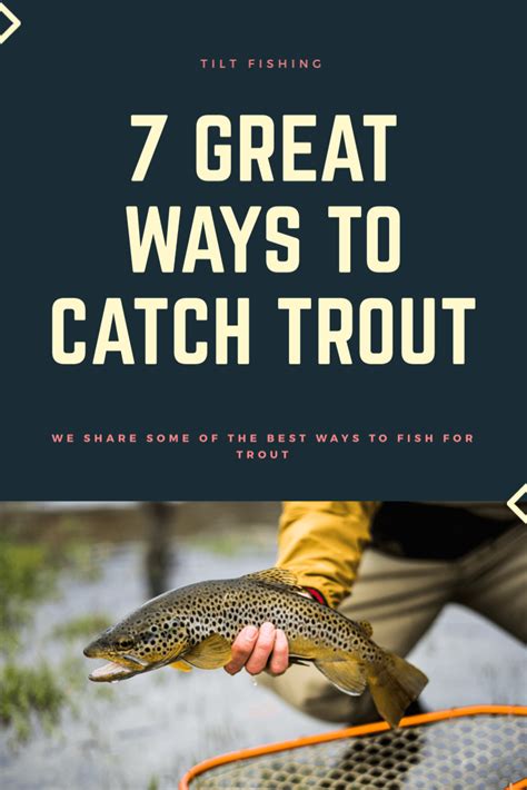 The 7 Best Ways to Catch Trout | Trout fishing tips, Trout fishing ...