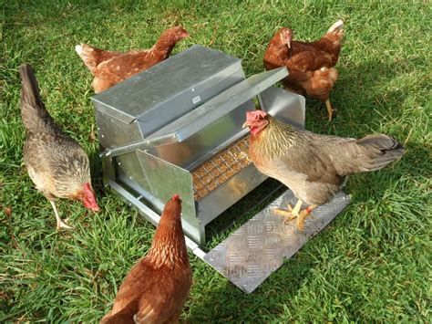 Standard Automatic Chicken Feeder | Grandpas Feeders | Chicken feeders ...