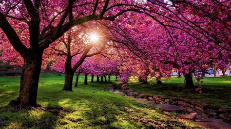 Scenic Spring Wallpapers - Top Free Scenic Spring Backgrounds ...