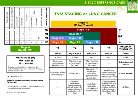 Lung Cancer Staging Diagram