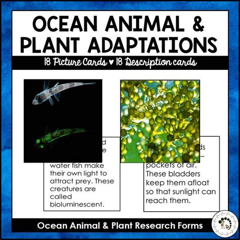 Ocean Animal and Plant Adaptations | Research Forms | Nature Curriculum ...