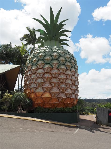 Remember the Big Pineapple