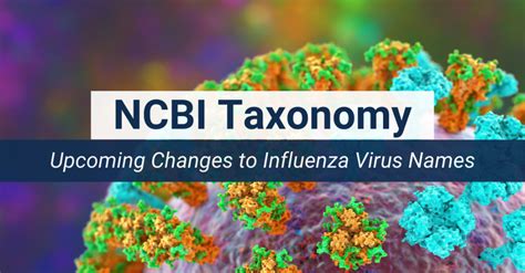 Upcoming changes to influenza virus names in NCBI Taxonomy - NCBI Insights