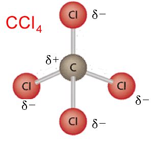 chemistry-polar and non-polar molecules