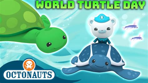 @Octonauts - 🐢 Turtle Rescues ⛑️ | One Hour Special! | Underwater Sea ...