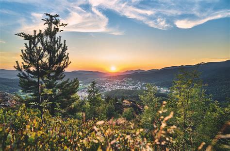 The Bavarian Forest: How to Plan a Trip in Summer or Winter