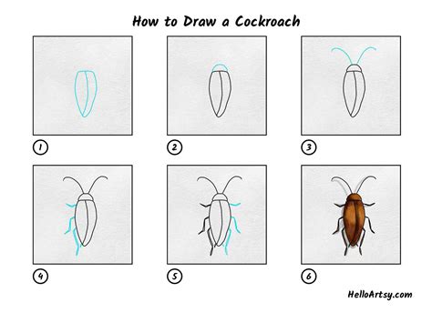 How to Draw a Cockroach - HelloArtsy