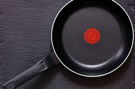 Are Tefal Pans Oven Safe? (All You Need to Know)