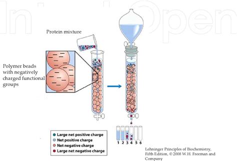 Figure 3 from Ion-Exchange Chromatography and Its Applications ...